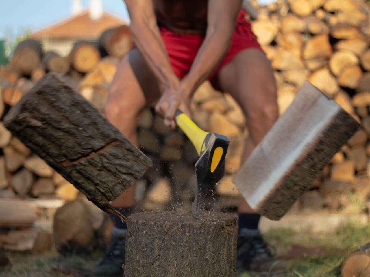 Best Tree Trimming Near Me  in Buckhead Ridge, FL